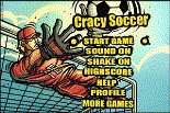 game pic for Soccer Goal Keeper 2